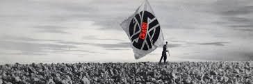 tony leez banner