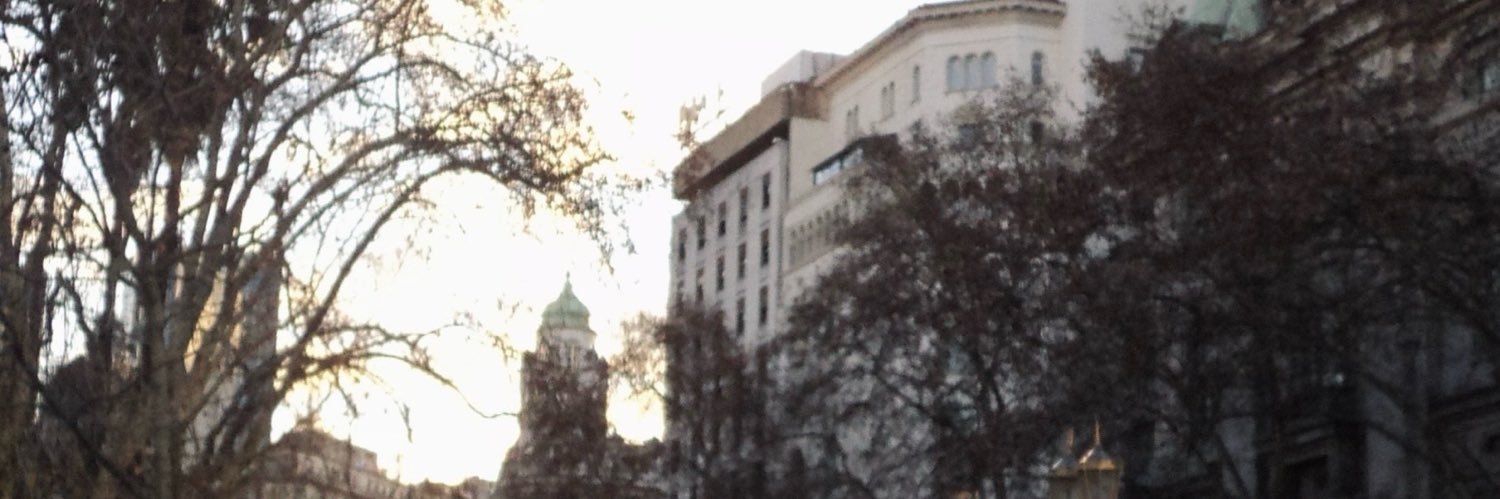 vickderrotada's profile banner image