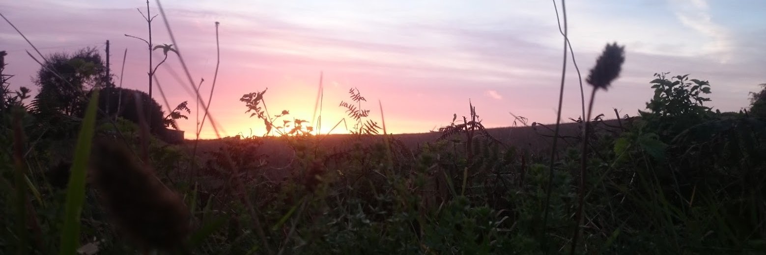flogrows's profile banner image