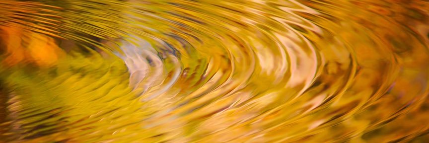DavidDuncanFoto's profile banner image