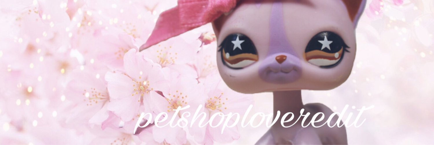 PetShopLover101's profile banner image