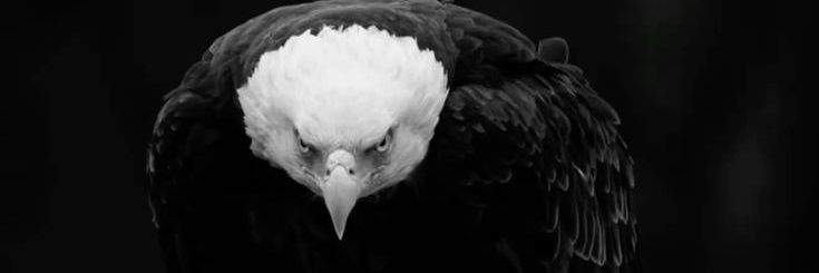Respect_RW's profile banner image