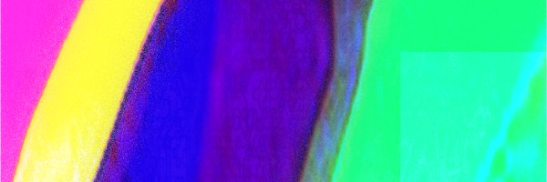 turtleman42mus Profile Banner