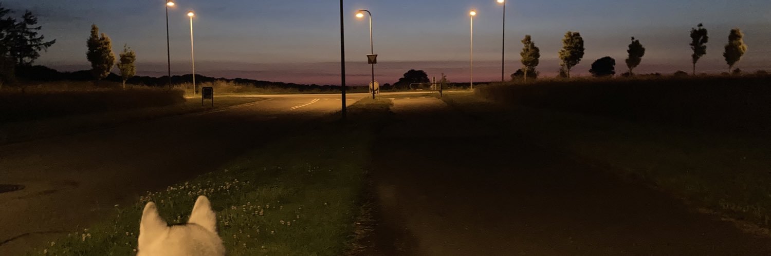 Jesper (Fra Provinsen) banner