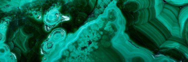 SaiOtter Profile Banner