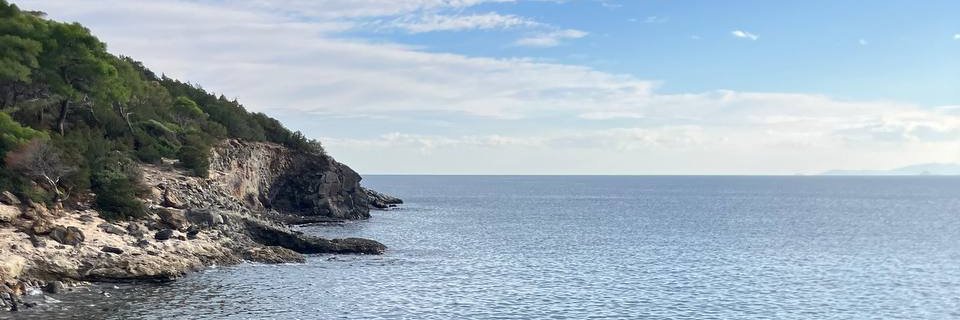 Elena's Art 🪽 banner