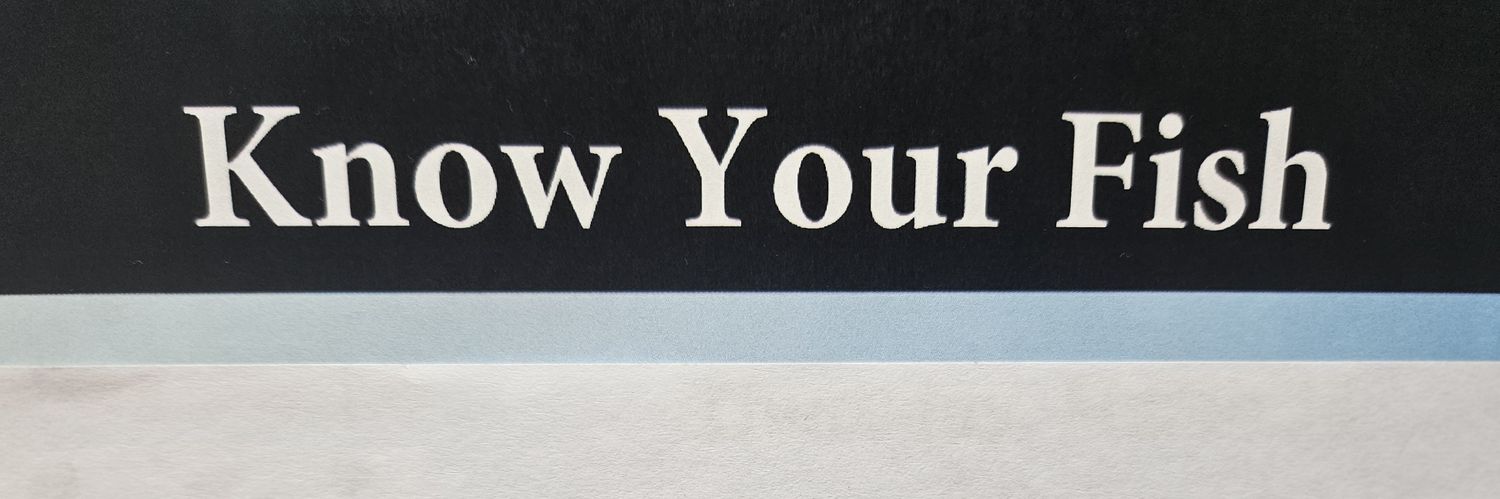 Something Fishie banner