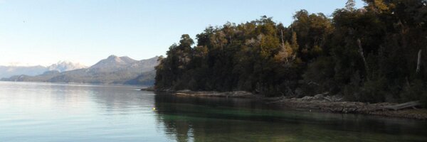 PanchoFaig Profile Banner