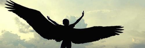 Deniah Palmer banner