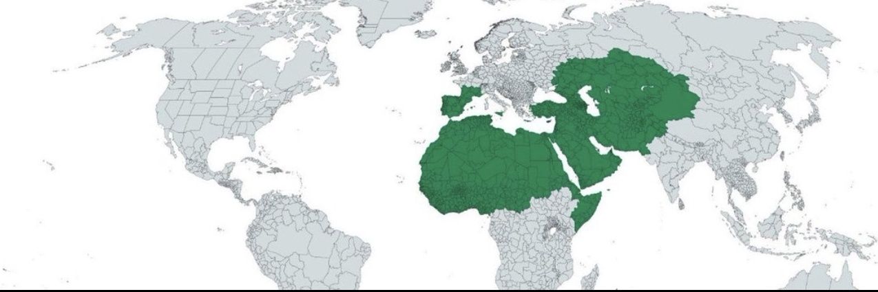 بدر الفتوي السُّلمي 🇸🇦 banner