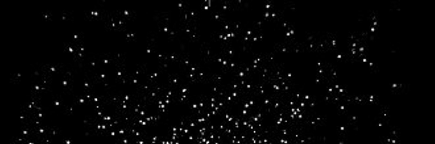 Kusti 🅿️ushin banner