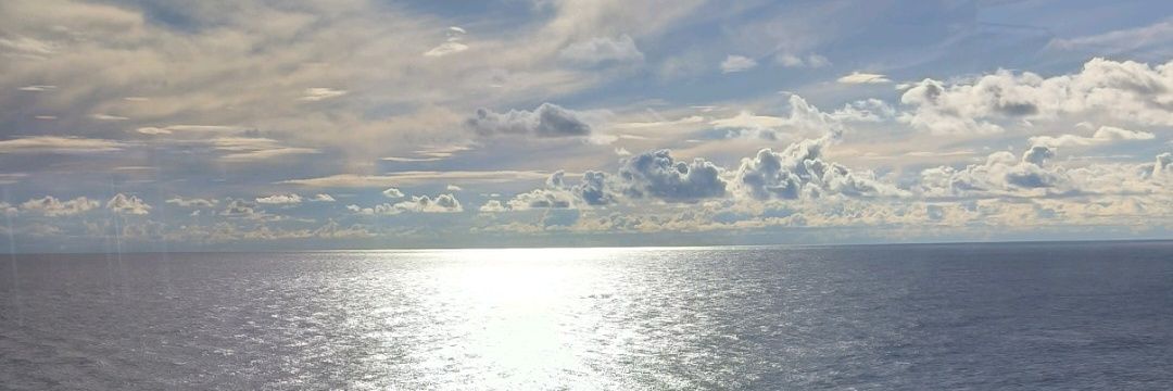 Paqui banner