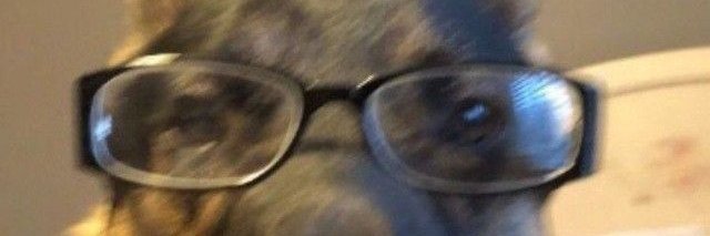 👾 Pixel 👾 banner