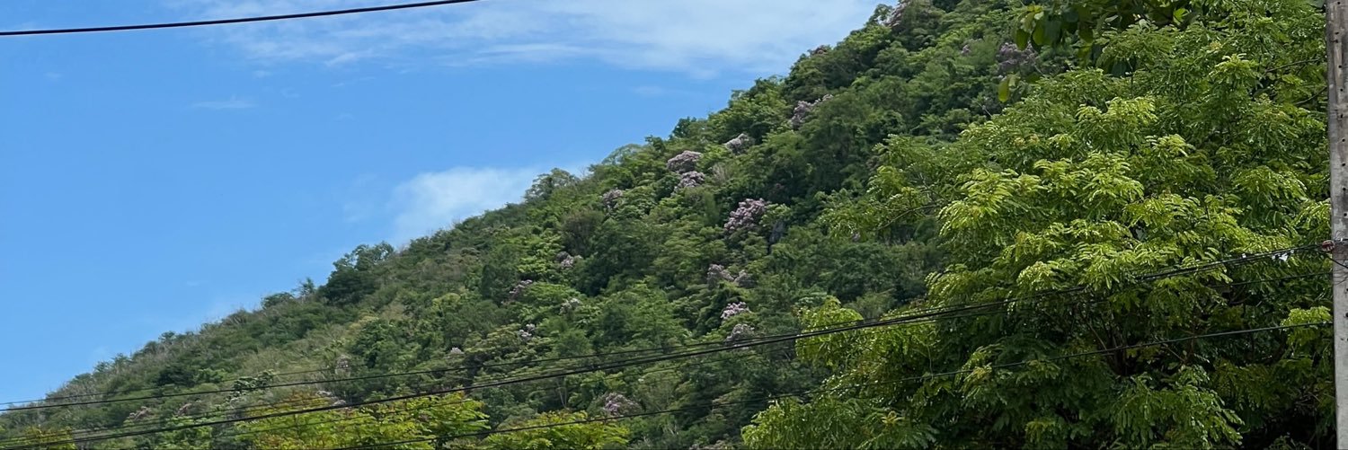 Motacht's profile banner image