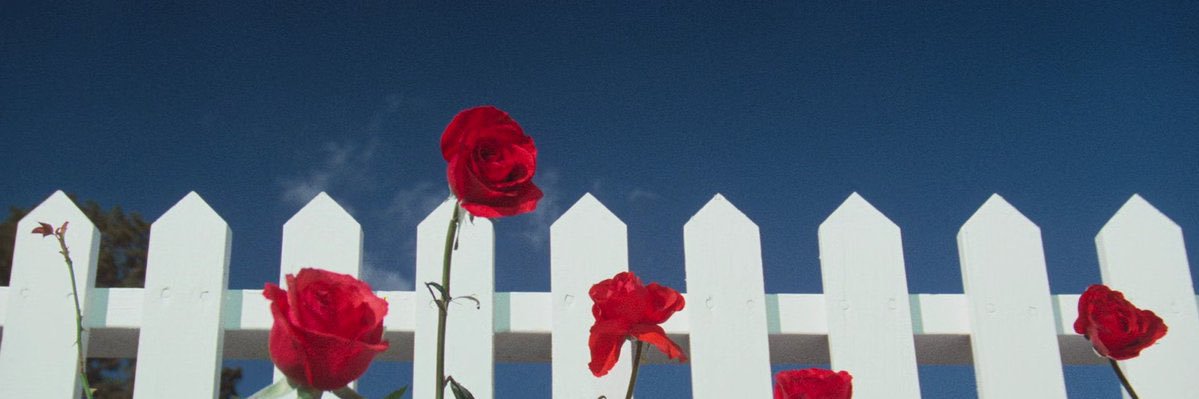 angelquevedoj's profile banner image