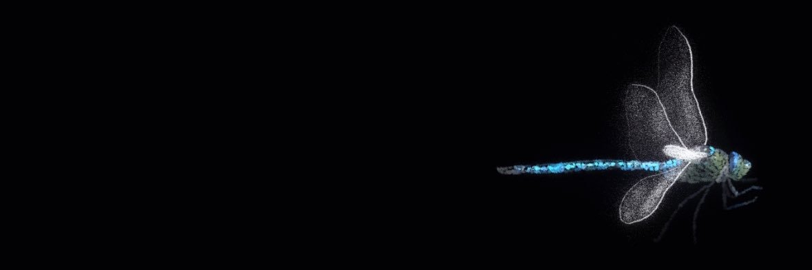 jaisonlypals's profile banner image