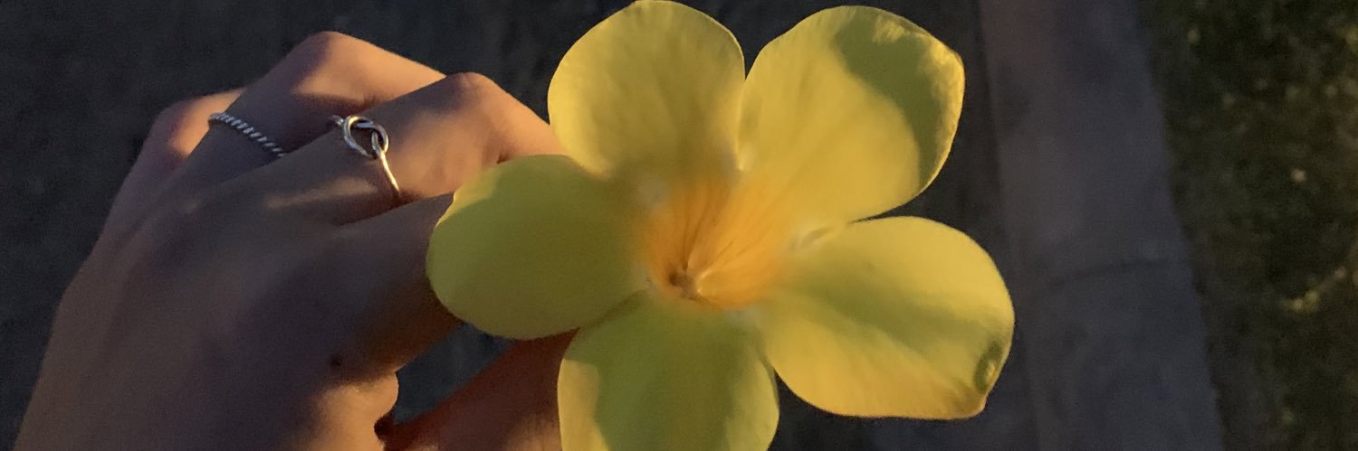 krolroxha's profile banner image