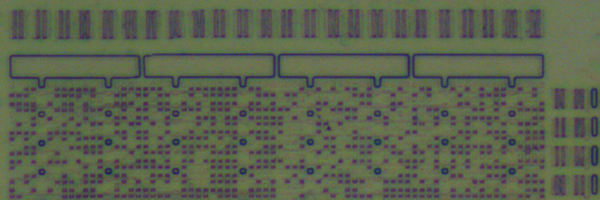 nintendian Profile Banner