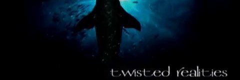 EccoMatrix's profile banner image