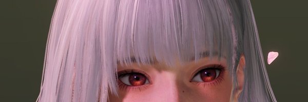 Lein_29 Profile Banner