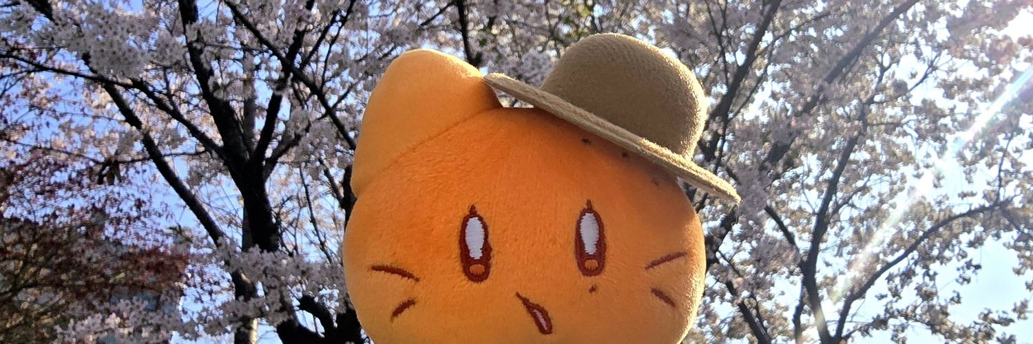🍊 귤냥볼 🐱 banner