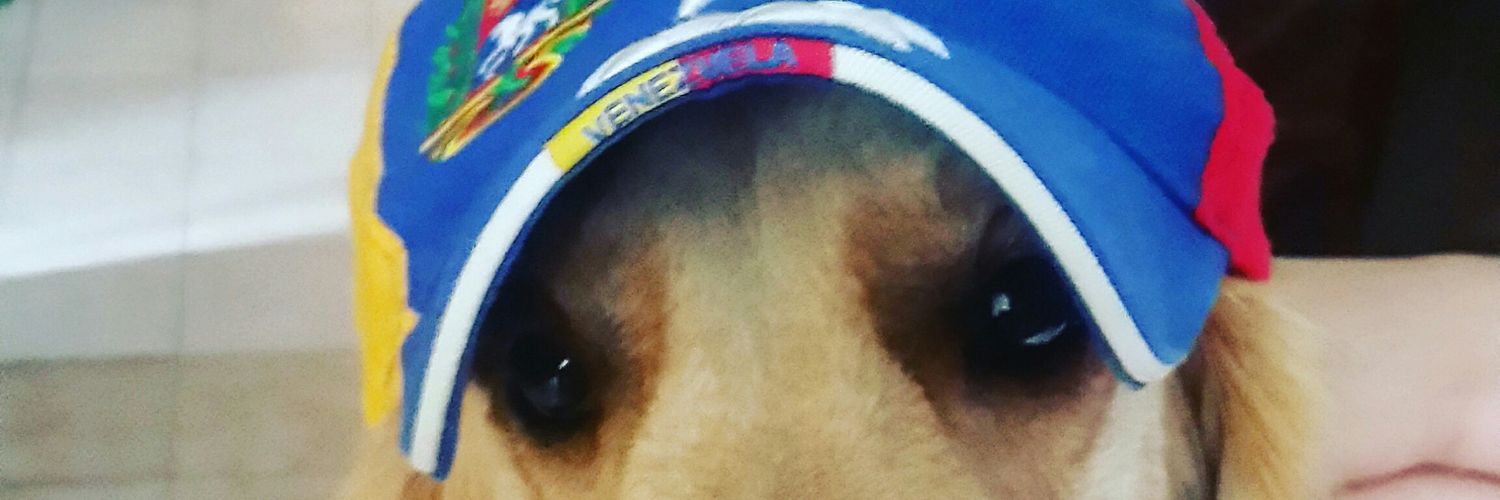 ricardex17's profile banner image