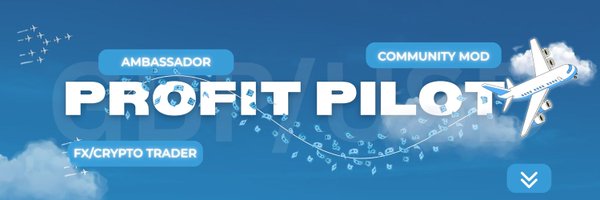 Profitpilot5 Profile Banner