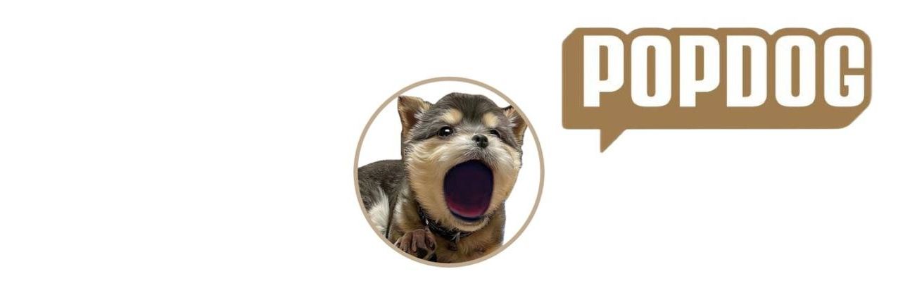 $POPDOG banner