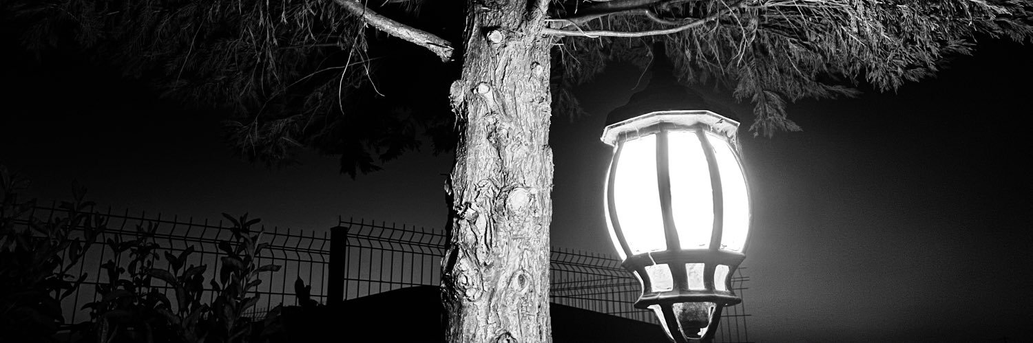 insersiyo's profile banner image