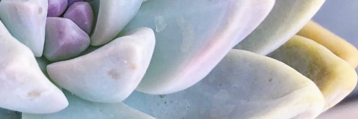 lezlarina's profile banner image