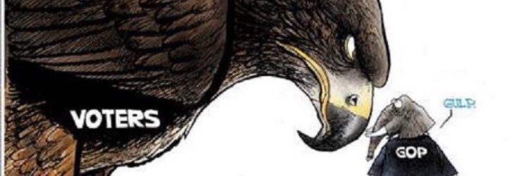 SmallTownLadyVA banner