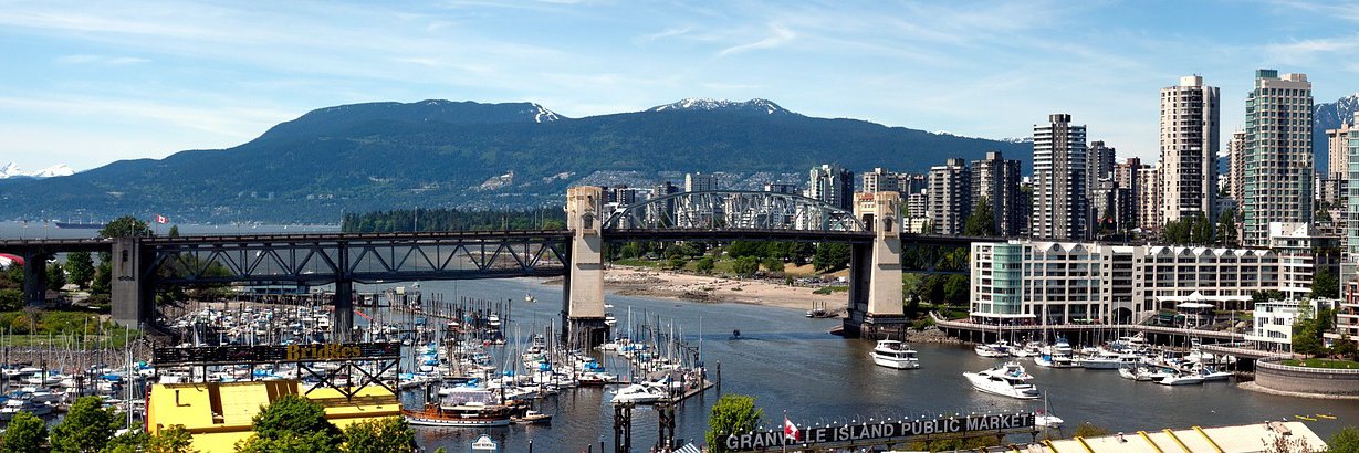 Vanessa Choot banner