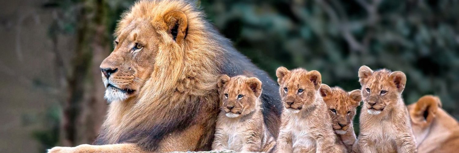 Ertuğrul SOLAK banner