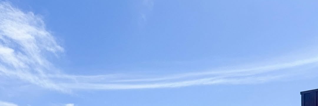 zoey ට ̫ ට banner
