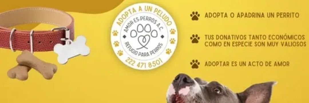 AmorS54985's profile banner image