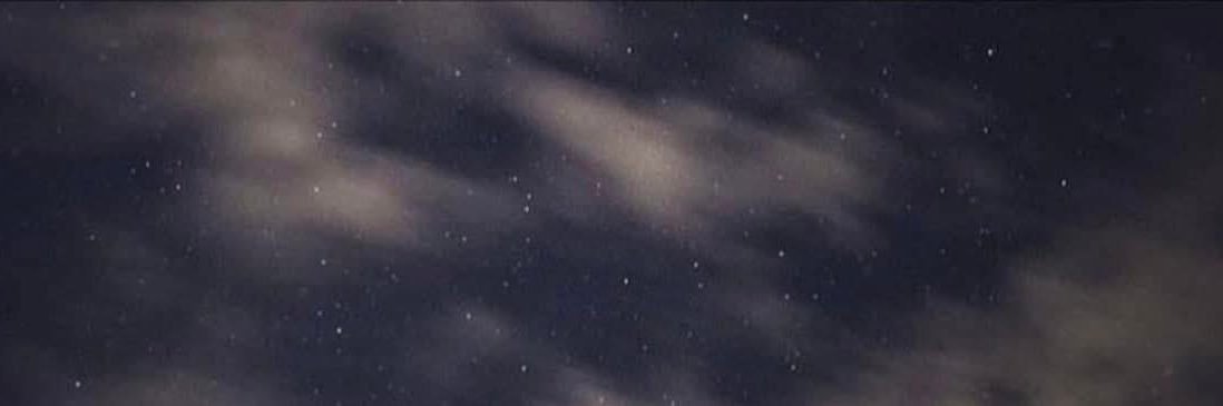 Lulu banner