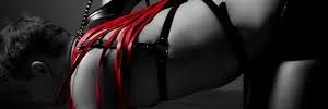 TE_EXHIBO banner