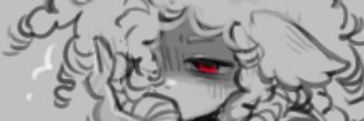 .Seg. banner
