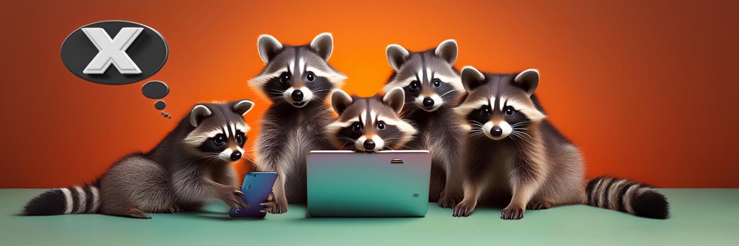 The Coding Raccoon banner