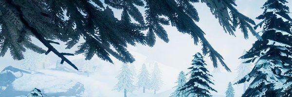 OneTrueTenrec Profile Banner