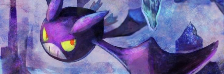 PaulFromPkmn's profile banner image
