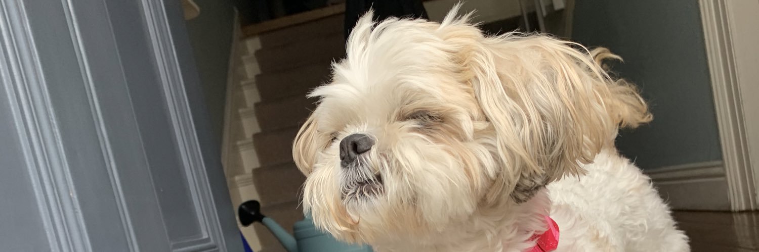 jamiecake's profile banner image