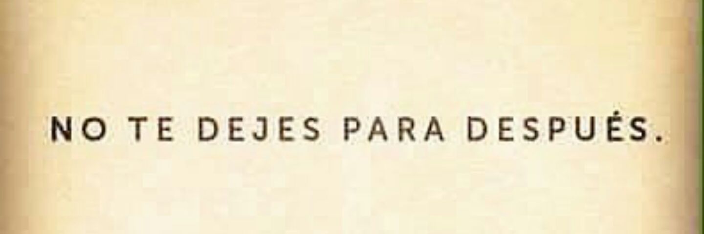 AraceliPensado's profile banner image