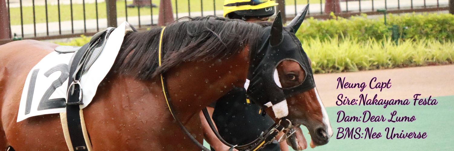 ちのすけ@🐎7th10月以降に日本で .｡oO banner