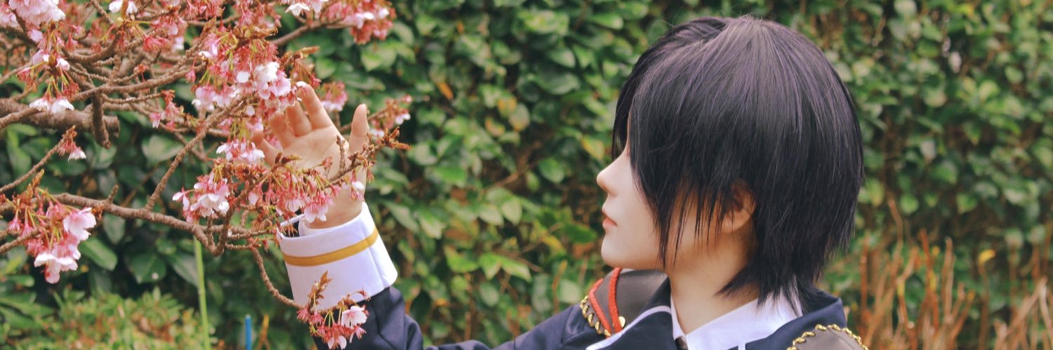 COCHI' banner