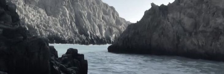 Thy_SilverBeast's profile banner image