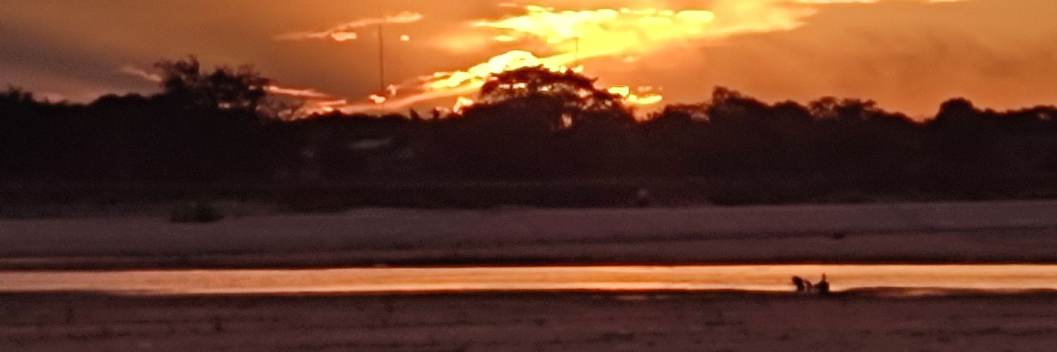 larisonlima's profile banner image