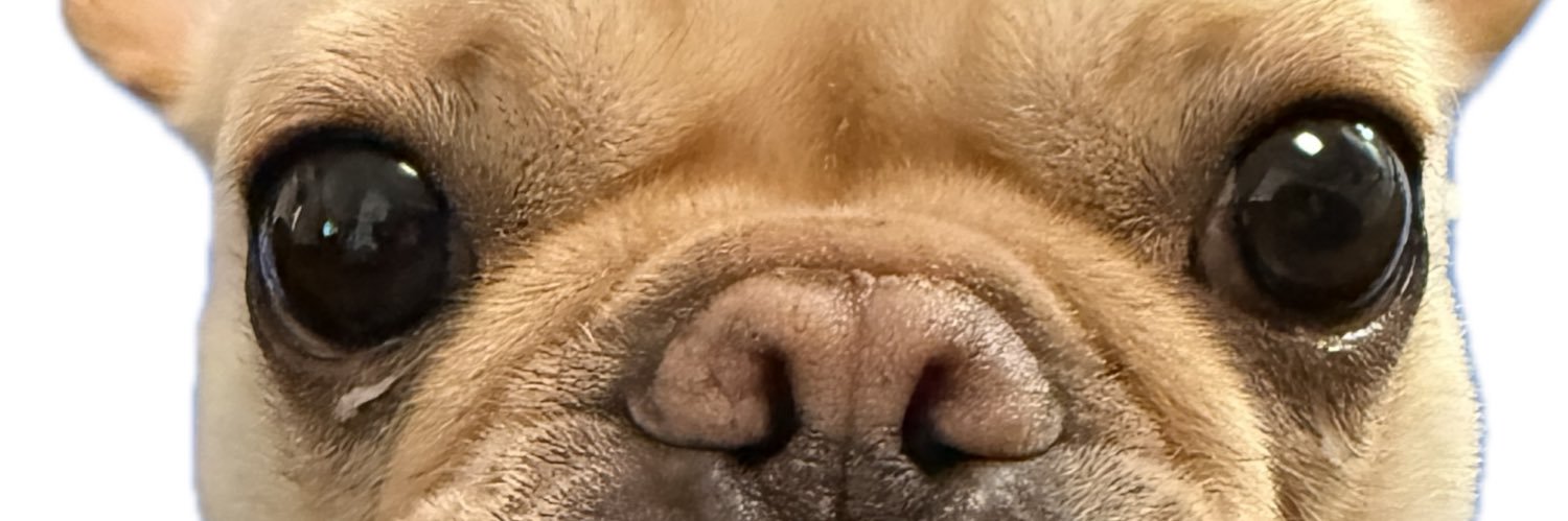 a_setubi's profile banner image