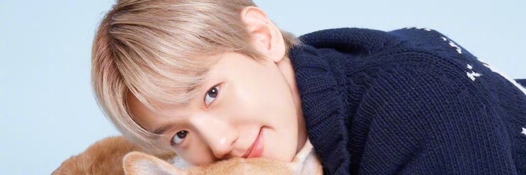 xioxio1298173's profile banner image