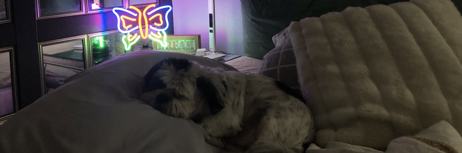 micksmm's profile banner image